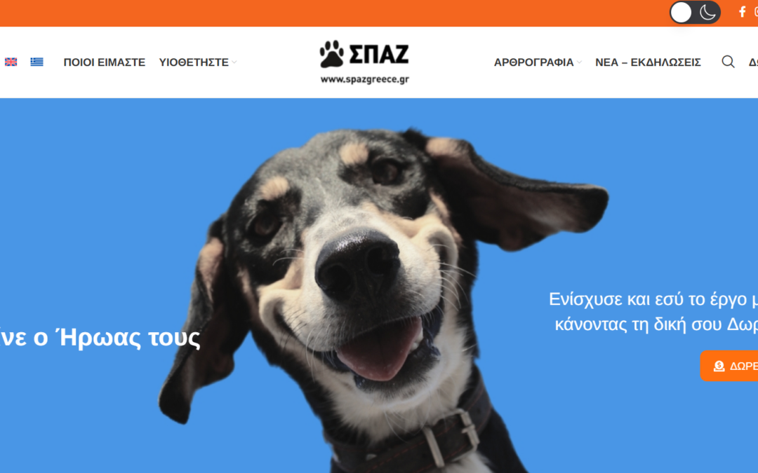 Ανασχεδιασμός – Κατασκευή Ιστοσελίδας